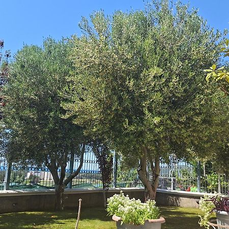 Villa Luiss Panorama Durrës Eksteriør bilde
