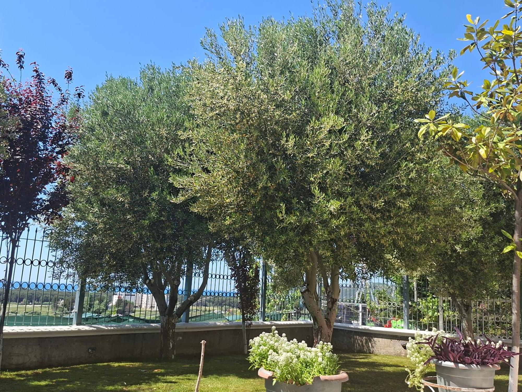 Villa Luiss Panorama Durrës Eksteriør bilde